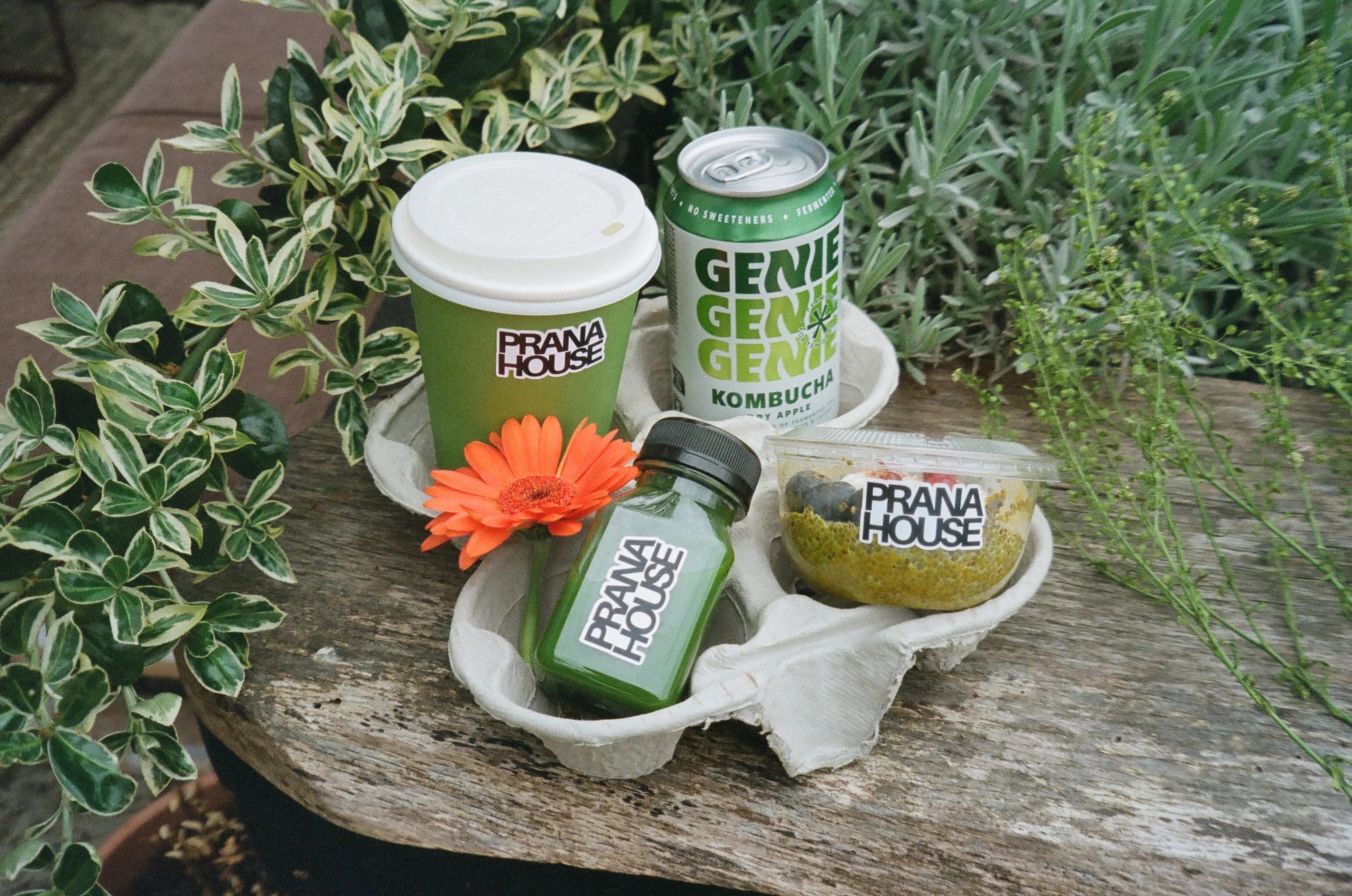 PRANA HOUSE coffee, kombucha, and takeaway food arranged among greenery