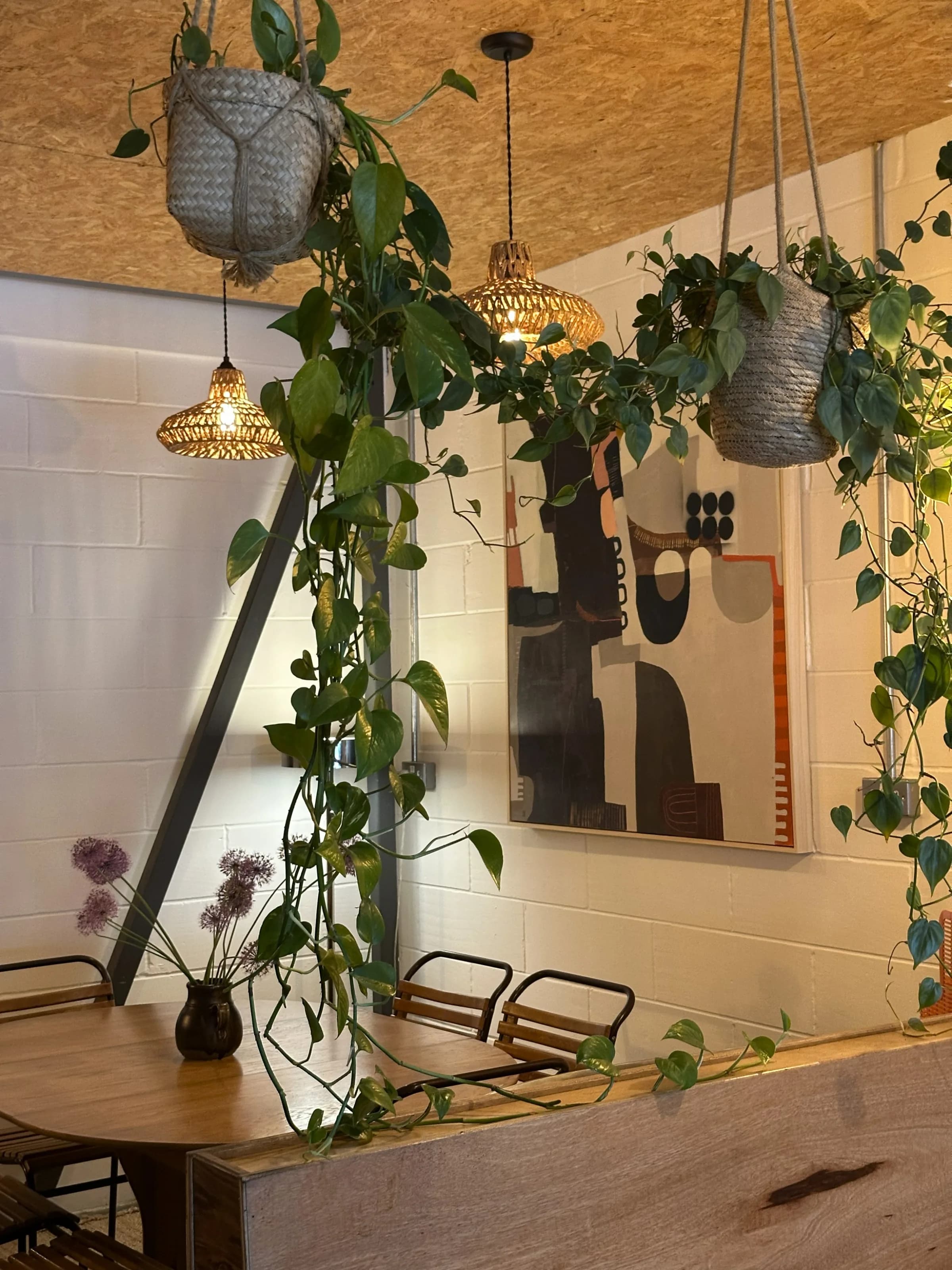 Hanging plants and warm lights inside Prana House